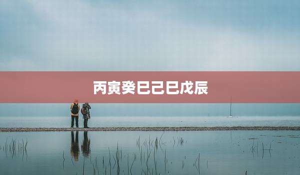 丙寅癸巳己巳戊辰