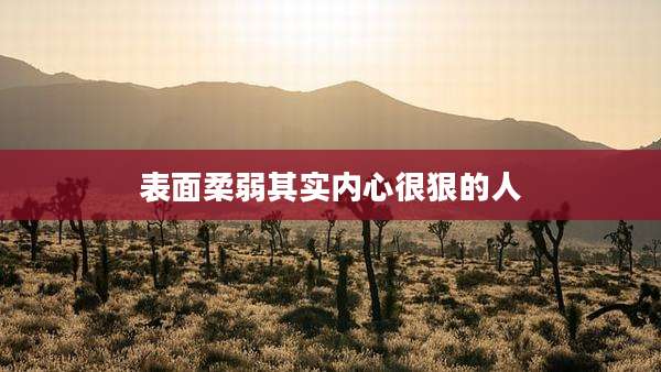 表面柔弱其实内心很狠的人