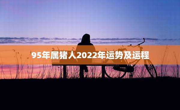 95年属猪人2022年运势及运程