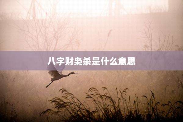 八字财枭杀是什么意思