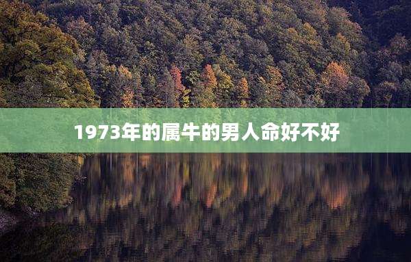 1973年的属牛的男人命好不好