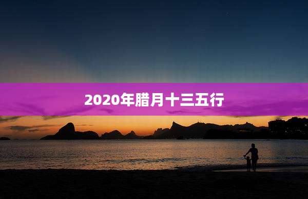 2020年腊月十三五行