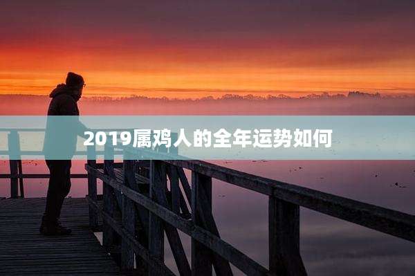 2019属鸡人的全年运势如何