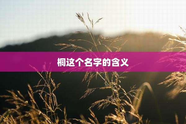 桐这个名字的含义
