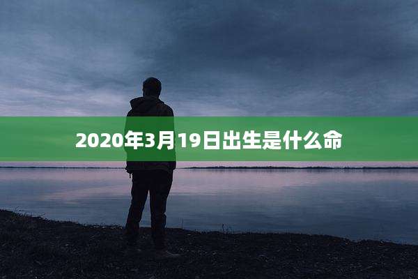 2020年3月19日出生是什么命