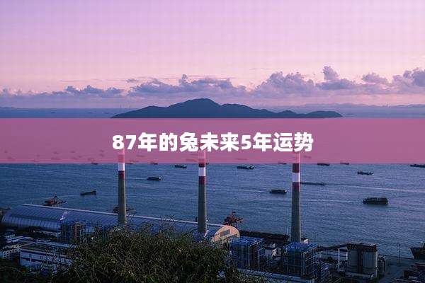 87年的兔未来5年运势