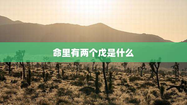 命里有两个戊是什么