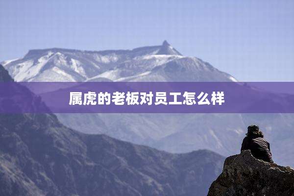属虎的老板对员工怎么样