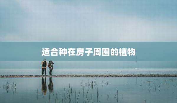 适合种在房子周围的植物