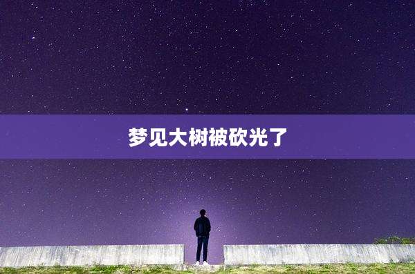 梦见大树被砍光了