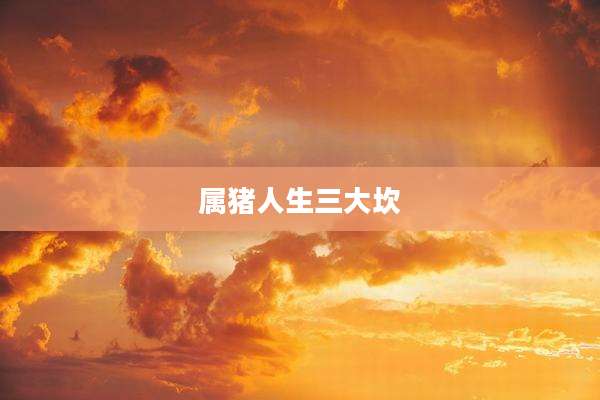 属猪人生三大坎