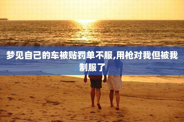 梦见自己的车被贴罚单不服,用枪对我但被我制服了