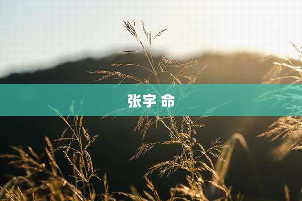 张宇 命