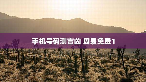 手机号码测吉凶 周易免费1