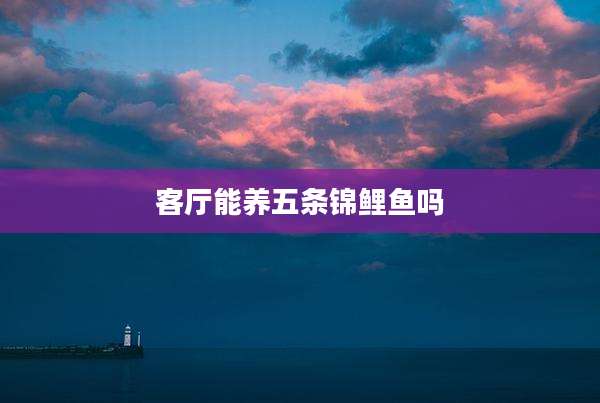 客厅能养五条锦鲤鱼吗