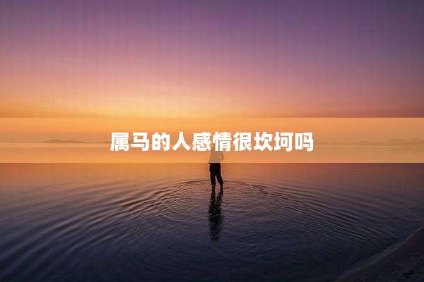 属马的人感情很坎坷吗
