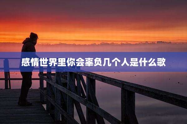 感情世界里你会辜负几个人是什么歌