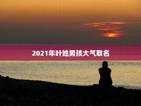 2021年叶姓男孩大气取名
