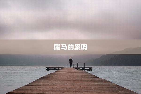 属马的累吗
