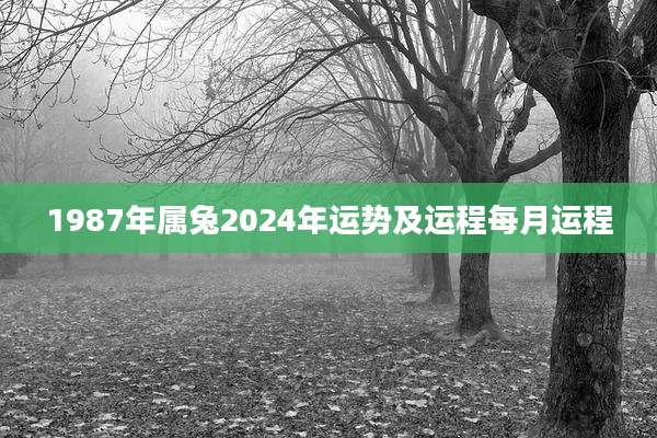 1987年属兔2024年运势及运程每月运程