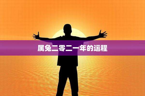 属兔二零二一年的运程