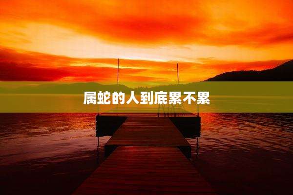 属蛇的人到底累不累