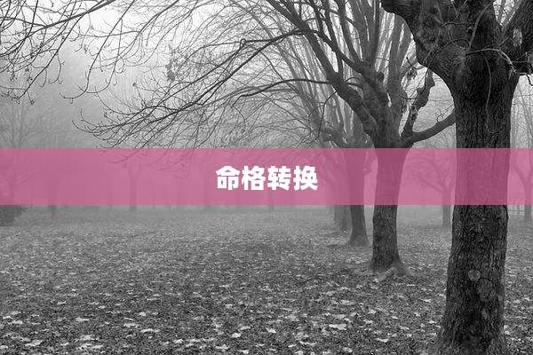 命格转换