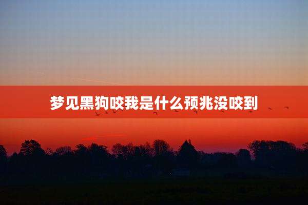 梦见黑狗咬我是什么预兆没咬到