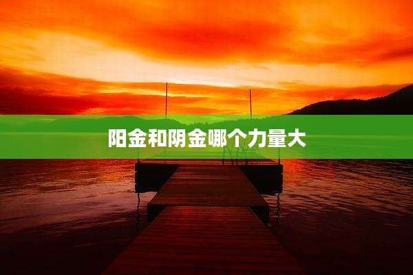 阳金和阴金哪个力量大