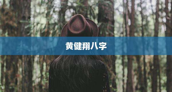 黄健翔八字