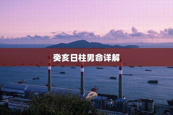 癸亥日柱男命详解
