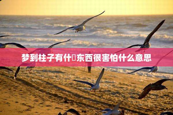 梦到柱子有什麼东西很害怕什么意思