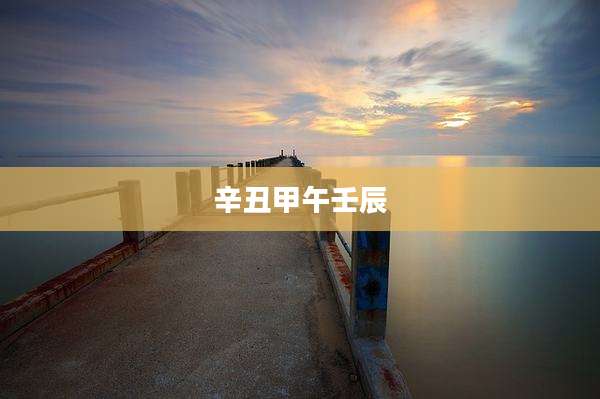 辛丑甲午壬辰