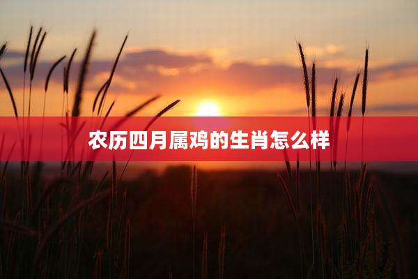 农历四月属鸡的生肖怎么样