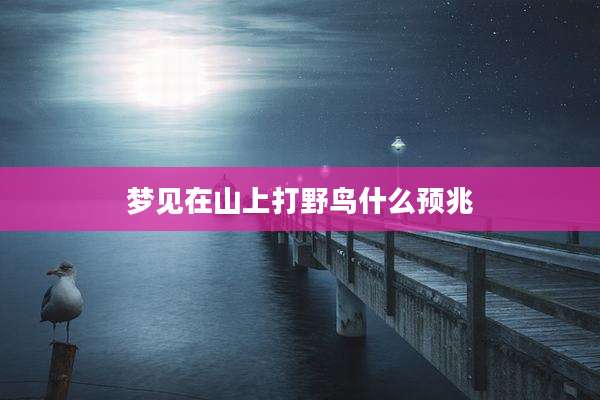 梦见在山上打野鸟什么预兆