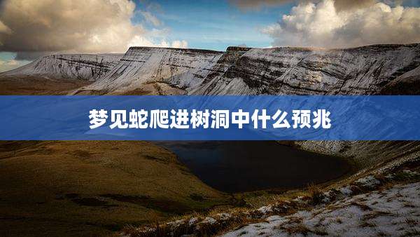 梦见蛇爬进树洞中什么预兆