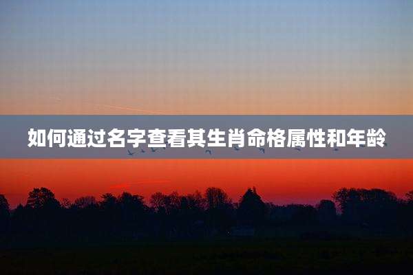 如何通过名字查看其生肖命格属性和年龄
