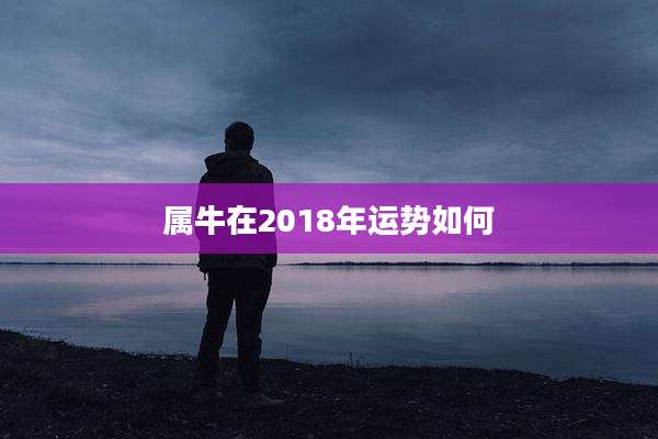 属牛在2018年运势如何
