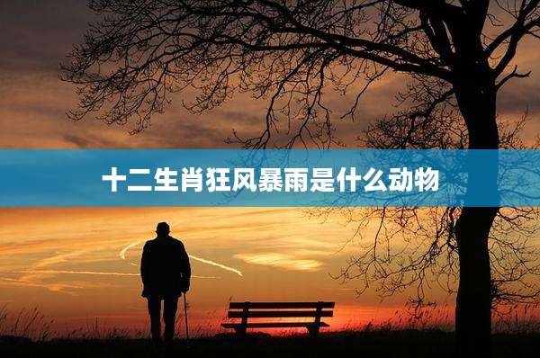 十二生肖狂风暴雨是什么动物
