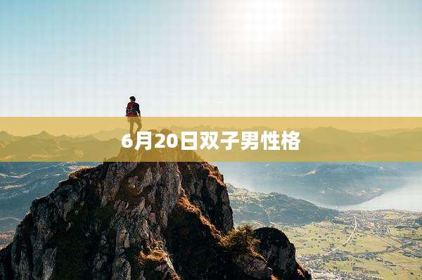 6月20日双子男性格
