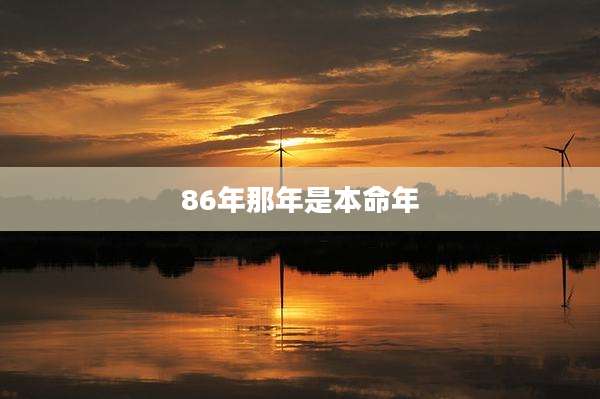 86年那年是本命年