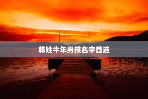 韩姓牛年男孩名字首选
