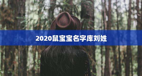 2020鼠宝宝名字库刘姓