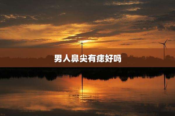 男人鼻尖有痣好吗