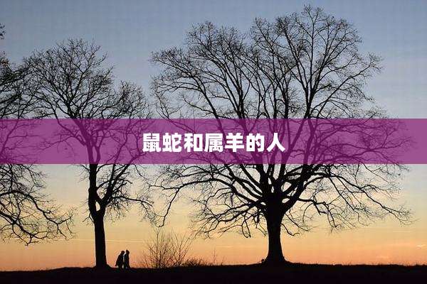 鼠蛇和属羊的人