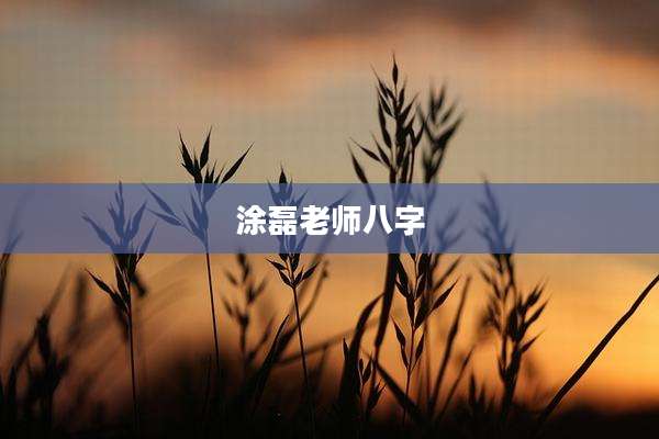 涂磊老师八字