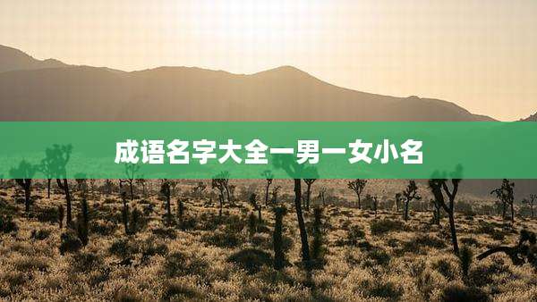成语名字大全一男一女小名