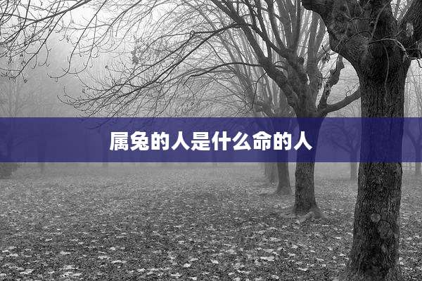 属兔的人是什么命的人