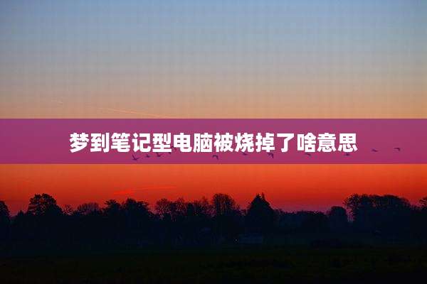 梦到笔记型电脑被烧掉了啥意思