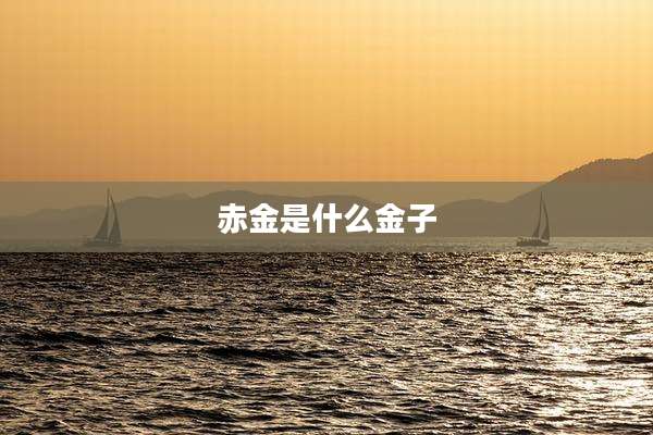 赤金是什么金子